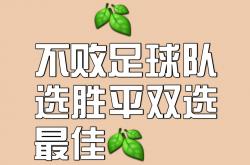 雷速体育直播官网-只凭一脚射门，运动员为球队打入致胜一球的简单介绍