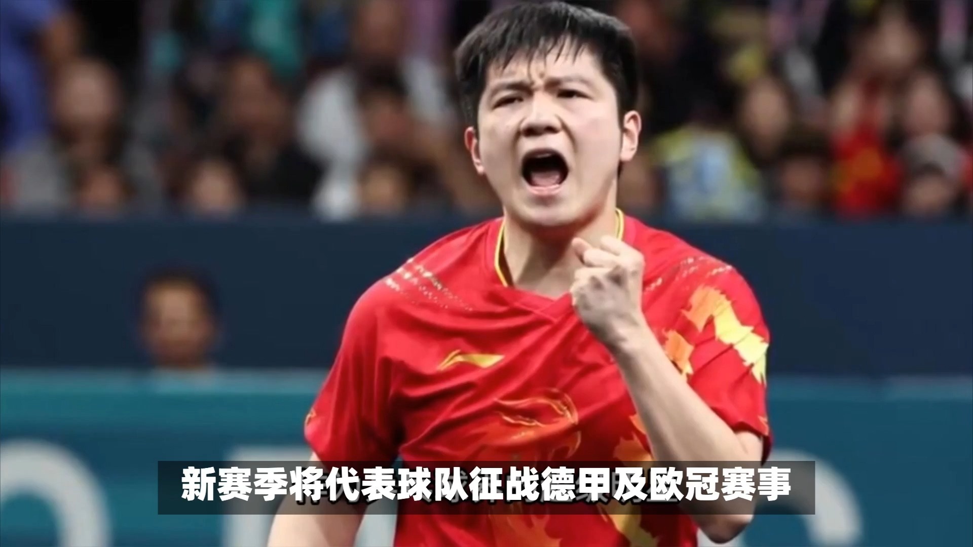 波兰乒乓球队横扫德国乒乓球队,樊振东绝境逆转的简单介绍 波兰乒乓球队横扫德国乒乓球队,樊振东绝境逆转的简单介绍