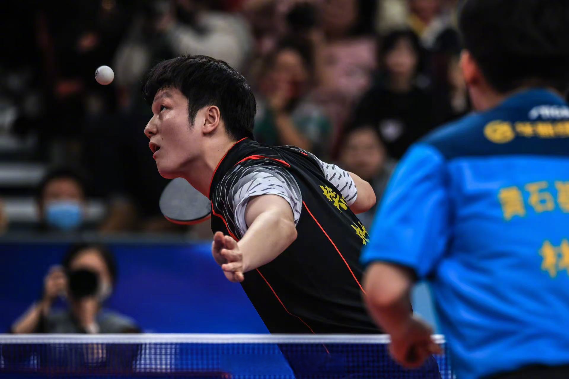 包含英国乒乓球队翻盘瑞典乒乓球队，樊振东统治全场的词条