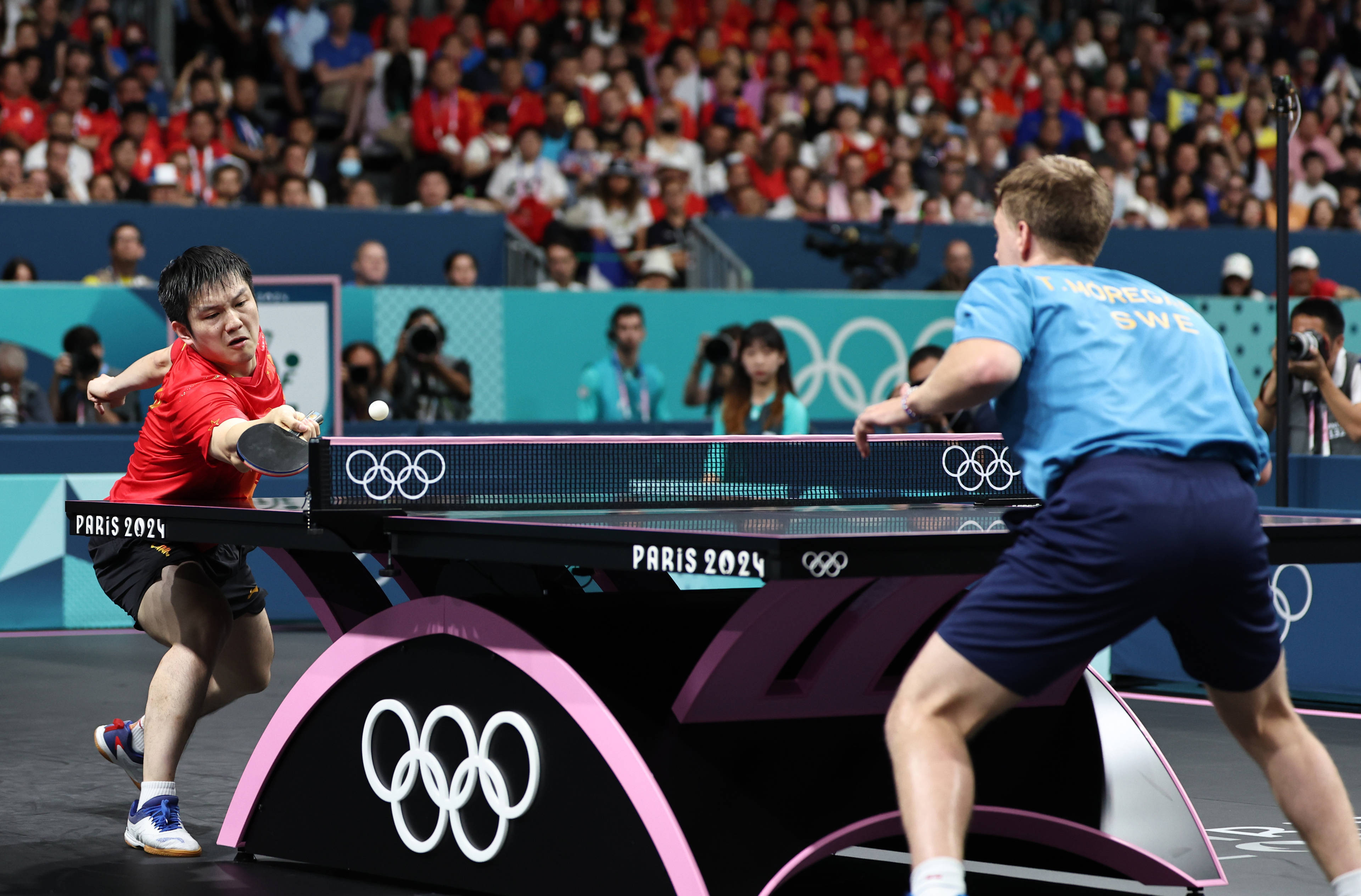 包含英国乒乓球队翻盘瑞典乒乓球队，樊振东统治全场的词条