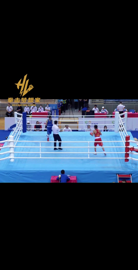 包含技术流与激情碰撞，拳击决赛再创新高的词条