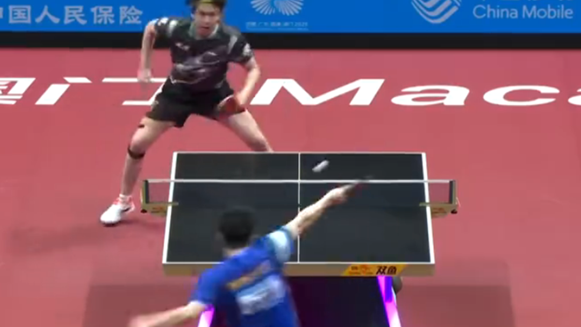 日本队险胜波兰队,樊振东统治全场 日本队险胜波兰队,樊振东统治全场